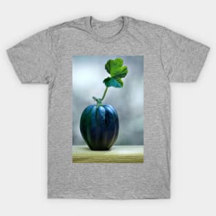 Acorn Squash with leaf T-Shirt